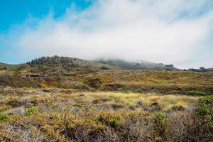 kalifornien naturlig park foto