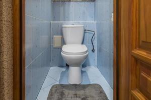 toalett och detalj av en hörnbidéhytt med väggmonterad duschfäste foto