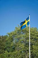 Sverige flagga på flaggstång på en bruka i främre av en träd i smalland. blå, gul flagga foto