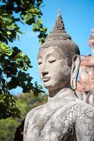 närbild av sten Buddhastatyn på wat mahathat, ayutthaya, Thailand foto