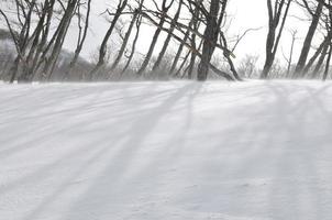 vinter- landskap se foto