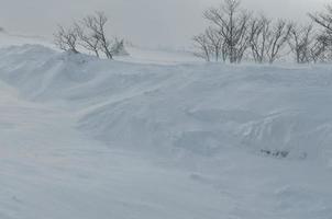 vinter- landskap se foto