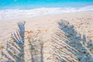 tropisk strand sand med skuggor av handflatan träd lämnar.resor och semester begrepp bakgrund. foto