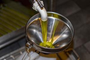 äkta oliv olja kvarn produktion foto