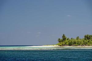 maldiverna tropisk paradis strand kristall vatten kokos träd ö foto