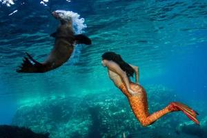 sjöjungfru simning under vattnet i de djup blå hav med en täta foto