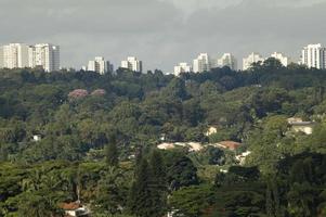 horisont se med olika byggnader och skyskrapor i sao paulo stad foto