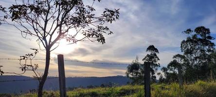 lantlig natur landskap i de interiör av Brasilien i en eukalyptus bruka i de mitten av natur foto