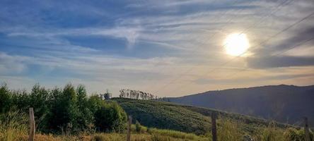 lantlig natur landskap i de interiör av Brasilien i en eukalyptus bruka i de mitten av natur foto