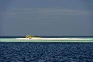 maldiverna tropisk paradis strand kristall vatten kokos träd ö foto