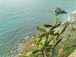 piktorisk by av cinque terre Italien foto