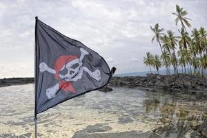 vinka pirat flagga glad roger på himmel bakgrund foto