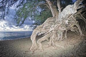 solnedgång på ke'e strand kauai ö hawaii foto