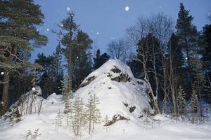 lappland skog i vinter- foto