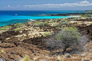 stor ö hawaii lava och hav foto