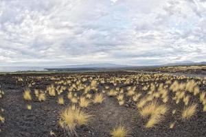 stor ö hawaii lava och hav foto