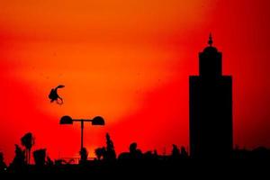 maroc marrakech solnedgång se med en stork silhuett foto