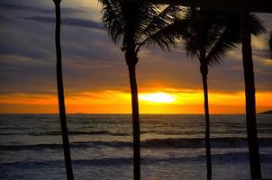 solnedgång på stranden med palmer foto