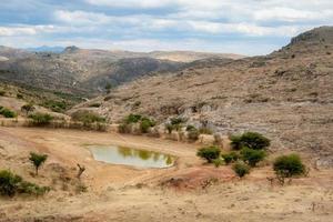 damm med mycket liten vatten i läkare mora guanajuato foto