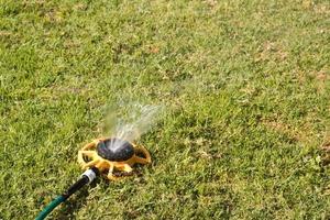 vatten sprinkler för trädgård i gräs foto