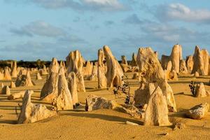 toppar parkera i väst Australien foto