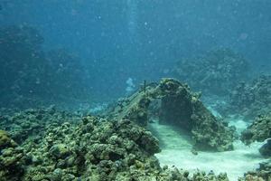 prekontinent jacques cousteau under vattnet hus foto