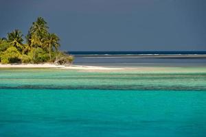 maldiverna tropisk paradis strand kristall vatten kokos träd ö foto