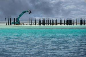 larv byggnad en tillflykt i tropisk paradis foto