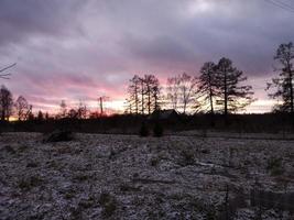 frostig morgon- i höst. ljus snö. silhuetter av träd foto