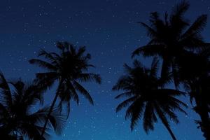 handflatan träd silhuett på starry natt foto