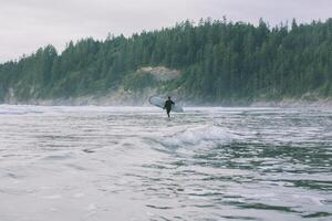 drake surfing på de strand foto