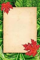 höst bakgrund med färgad löv på gammal papper foto