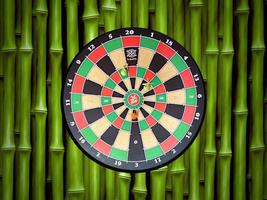 dartboard på vägg bambu foto