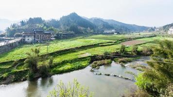 trädgårdar, ris fält, te plantage i chengyang foto