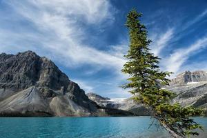 isfält motorväg yoho banff jaspis parkera foto