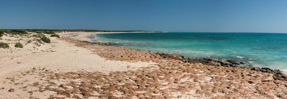 Australien väst kust panorama landskap francois peron nationell parkera foto