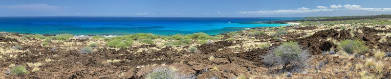 stor ö hawaii lava och hav foto