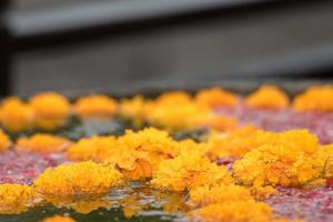 spa blommor i vatten stänga upp detalj foto