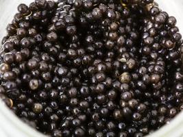 många svart stör kaviar i glas burk foto