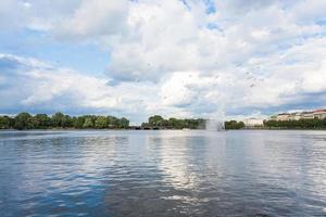 fåglar över binnenalster i hamburg stad i höst foto