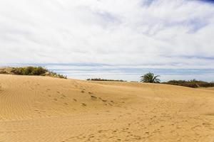 maspalomas duna - öken- i kanariefågel ö gran canaria foto