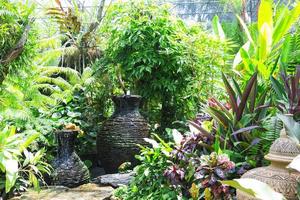 nong nooch tropisk trädgård foto