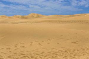 maspalomas duna - öken- i kanariefågel ö gran canaria foto