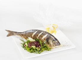 dorada fisk med sallad på den vita plattan. studio skott foto