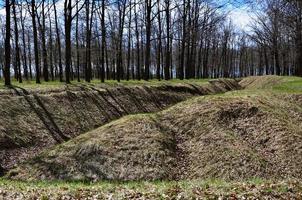 vår landskap med en djup ravin fylld med fallen löv omgiven förbi en massa av träd på de kant av de skog Nästa till de by foto