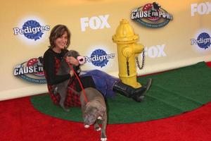 los angeles, nov 22 - wendie malick på de räv s orsak för tassar - all-star hund spektakulär på de barker galge på november 22, 2014 i santa monica, ca foto