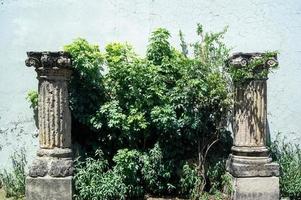 grekisk sten kolumn, omgivande växter, förgyllda stil, vägg i de bakgrund, mexico foto