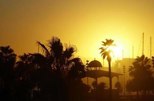 skön solnedgång i Valencia, Spanien foto