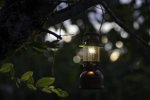 årgång olja lampa hängande på en träd i de skog i de kväll camping atmosfär, resa utomhus- begrepp foto