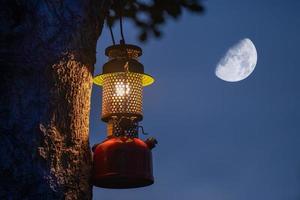 årgång olja lampa hängande på en träd i de skog i de kväll camping atmosfär, resor utomhus- begrepp bild måne bakgrund foto